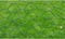 vidaXL - Kippengaas - 25x1 - m - met - PVC-coating - groen