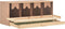 vidaXL - Kippenlegkast - 4 - compartimenten - 106x40x45 - cm - massief - grenenhout