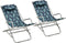 vidaXL - Klapstoelen - 2 - st - staal - bladpatroon
