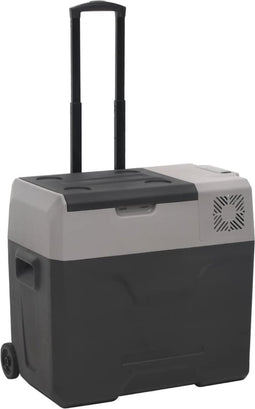 vidaXL - Koelbox - met - wielen - en - handvat - 30 - L - polypropeen - zwart - en - grijs