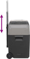 vidaXL - Koelbox - met - wielen - en - handvat - 30 - L - polypropeen - zwart - en - grijs