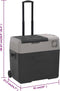 vidaXL - Koelbox - met - wielen - en - handvat - 40 - L - polypropeen - zwart - en - grijs