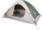 vidaXL - Koepeltent - 2-persoons - waterdicht - groen