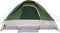 vidaXL - Koepeltent - 4-persoons - waterdicht - groen
