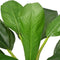 vidaXL - Kunst - bananenboom - plant - met - pot - 150 - cm - groen