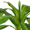 vidaXL - Kunst - dracena - plant - met - pot - 100 - cm - groen