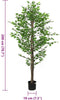 vidaXL - Kunst - Ficus - Plant - 1260 - bladeren - 200 - cm - groen