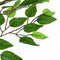 vidaXL - Kunst - Ficus - Plant - 1260 - bladeren - 200 - cm - groen