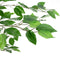 vidaXL - Kunst - Ficus - Plant - 2016 - Bladeren - 300 - cm - groen