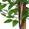 vidaXL - Kunst - Ficus - plant - 788 - bladeren - 120 - cm - groen