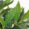vidaXL - Kunst - laurierboom - plant - met - pot - 120 - cm - groen