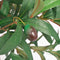 vidaXL - Kunst - laurierboom - plant - met - pot - 125 - cm - groen