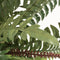 vidaXL - Kunst - varen - plant - met - pot - 50 - cm - groen