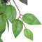 vidaXL - Kunst - vijgenboom - met - pot - 110 - cm