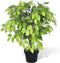 vidaXL - Kunst - vijgenboom - met - pot - 110 - cm