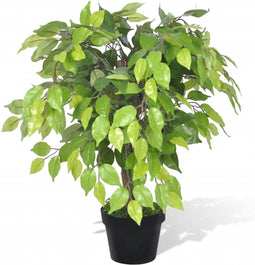 vidaXL - Kunst - vijgenboom - met - pot - 60 - cm
