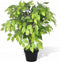 vidaXL - Kunst - vijgenboom - met - pot - 60 - cm
