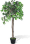 vidaXL - Kunst - vijgenboom - met - pot - 60 - cm