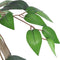 vidaXL - Kunst - vijgenboom - met - pot - 60 - cm
