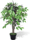 vidaXL - Kunst - vijgenboom - met - pot - 90 - cm