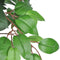 vidaXL - Kunst - vijgenboom - met - pot - 90 - cm