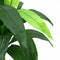 vidaXL - Kunstboom - Dracaena - 36 - bladeren - 180 - cm - groen