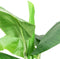 vidaXL - Kunstboom - met - pot - banaan - 300 - cm - groen