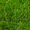 vidaXL - Kunstgras - 1x15 - m/40 - mm - groen