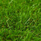 vidaXL - Kunstgras - 1x2 - m/40 - mm - groen