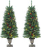 vidaXL - Kunstkerstbomen - 2 - st - 100 - LED's - 120 - cm - groen