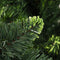 vidaXL - Kunstkerstboom - met - dennenappels - 210 - cm - groen