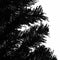 vidaXL - Kunstkerstboom - met - standaard - 210 - cm - PVC - zwart