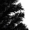 vidaXL - Kunstkerstboom - met - standaard - 240 - cm - PVC - zwart