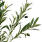 vidaXL - Kunstolijfboom - 450 - blaadjes - 120 - cm - groen