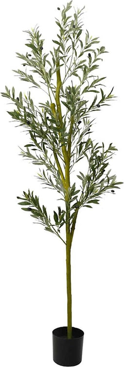 vidaXL - Kunstolijfboom - 800 - blaadjes - 200 - cm - groen