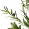 vidaXL - Kunstolijfboom - 800 - blaadjes - 200 - cm - groen