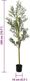 vidaXL - Kunstolijfboom - 800 - blaadjes - 200 - cm - groen