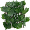 vidaXL - Kunstplant - druivenblad - op - latwerk - uittrek - baar - 180x20 - cm - groen
