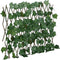 vidaXL - Kunstplant - druivenblad - op - latwerk - uittrekbaar - 190x60 - cm - groen