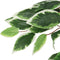 vidaXL - Kunstplant - ficus - 1008 - bladeren - 180 - cm - groen