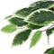 vidaXL - Kunstplant - ficus - 1260 - bladeren - 200 - cm - groen