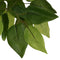 vidaXL - Kunstplant - ficus - 378 - bladeren - 80 - cm - groen