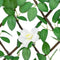 vidaXL - Kunstplant - klimop - op - latwerk - 5 - st - uittrekbaar - 186x30 - cm - groen