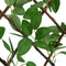 vidaXL - Kunstplant - klimop - op - latwerk - 5 - st - uittrekbaar - 180x30 - cm - groen