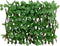 vidaXL - Kunstplant - klimop - op - latwerk - 5 - st - uittrekbaar - 180x30 - cm - groen
