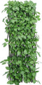 vidaXL - Kunstplant - klimop - op - latwerk - 5 - st - uittrekbaar - 180x65 - cm - groen