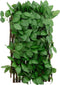 vidaXL - Kunstplant - klimop - op - latwerk - 5 - st - uittrekbaar - 180x30 - cm - groen