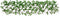 vidaXL - Kunstplant - klimop - op - latwerk - 5 - st - uittrekbaar - 180x30 - cm - groen