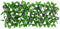 vidaXL - Kunstplant - klimop - op - latwerk - 5 - st - uittrekbaar - 180x20 - cm - groen