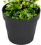 vidaXL - Kunstplant - met - pot - buxus - 100 - cm - groen